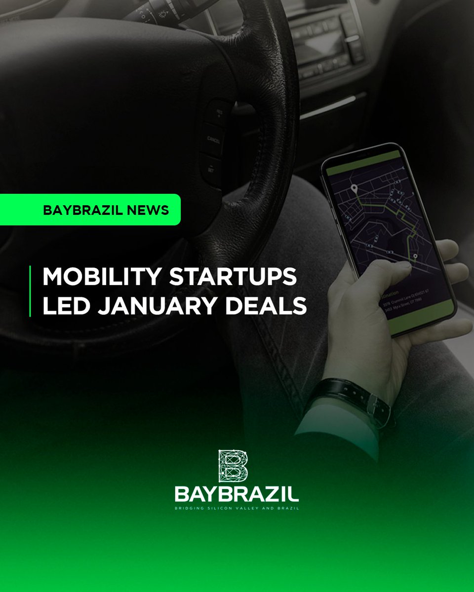 BayBrazil tweet media