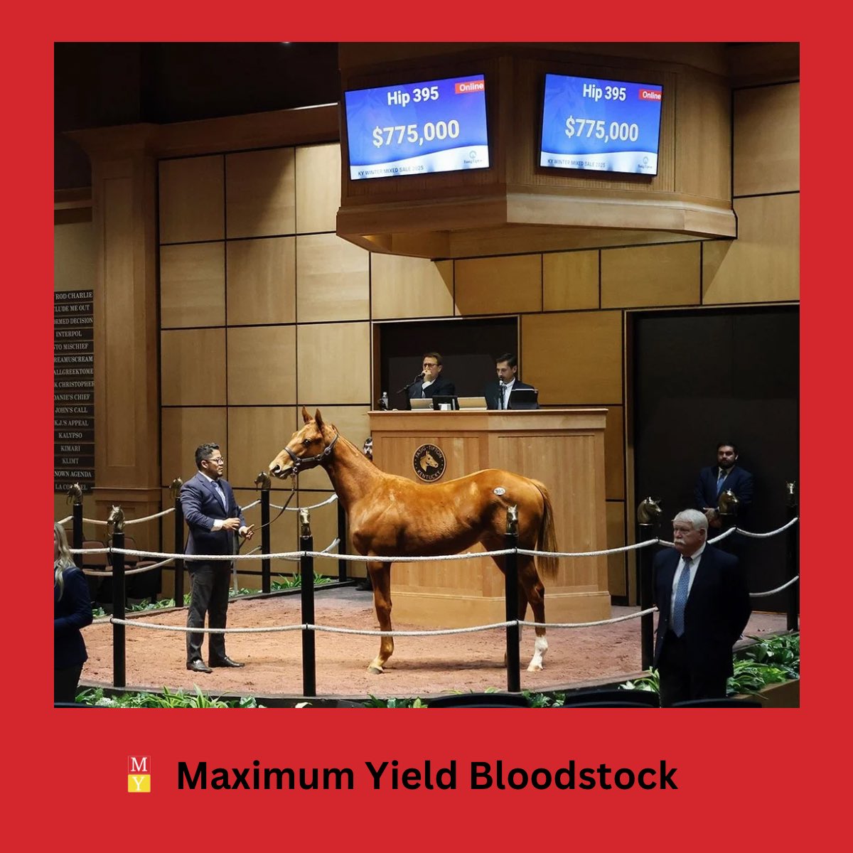 MaximumYield1's tweet photo. Record-breaking results at the Fasig-Tipton Kentucky Winter Mixed Sale! 🏇🔥 A $775K Curlin colt topped the sale, showcasing the strength of the market and the power of elite bloodlines. The future looks bright! #ThoroughbredRacing #Bloodstock #MaximumYieldBloodstock https://t.co/e2C40DkhPw