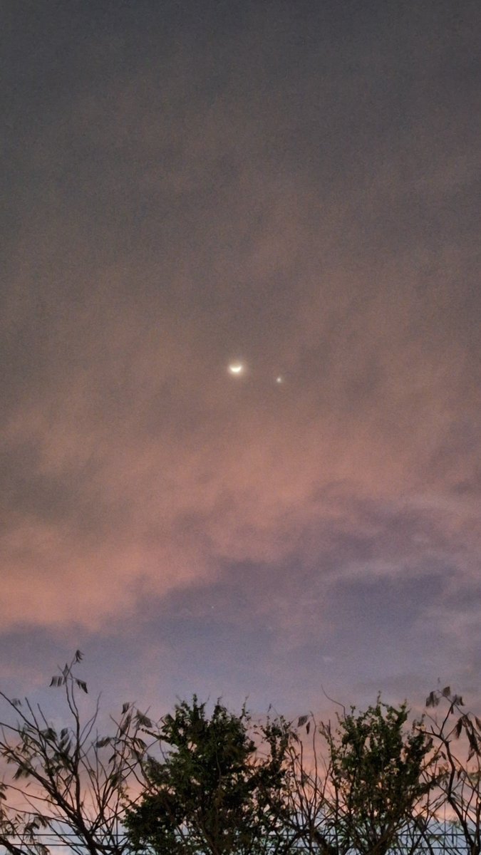 Ariel_Yki's tweet photo. #EnFebreroVamosA Mirar el cielo 

#DinastiaMilenials https://t.co/gA0DZjhpEO