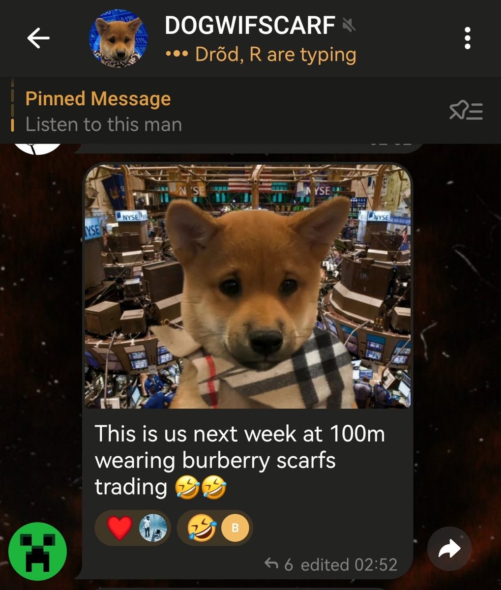 A new fake dogwifscarf with the ticker $Scarf is stealing all my art that I created for Gogowifscarf $Gogo months ago, the OG brother of Dogwifhat. The trenches are at a all-time low of originality and creativity since the chillguy TikTok Hype. no cap🤣🤡