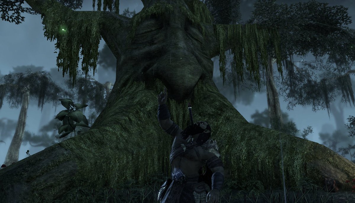 llamagarbage's tweet photo. Found this cool tree today! #elderscrollsonline https://t.co/Pc10M3yWdq