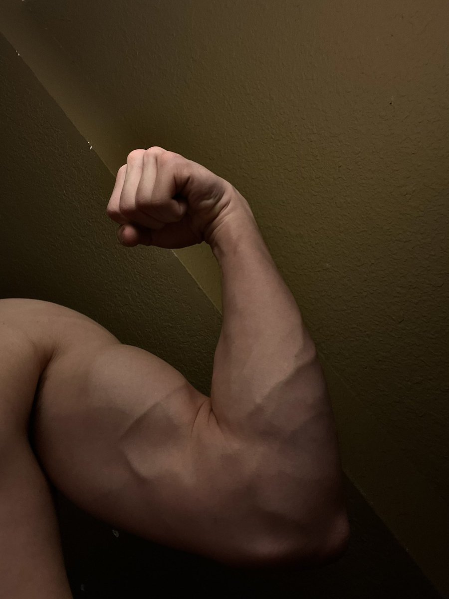 ZifulFN's tweet image. Nov 2023 —-&amp;gt;