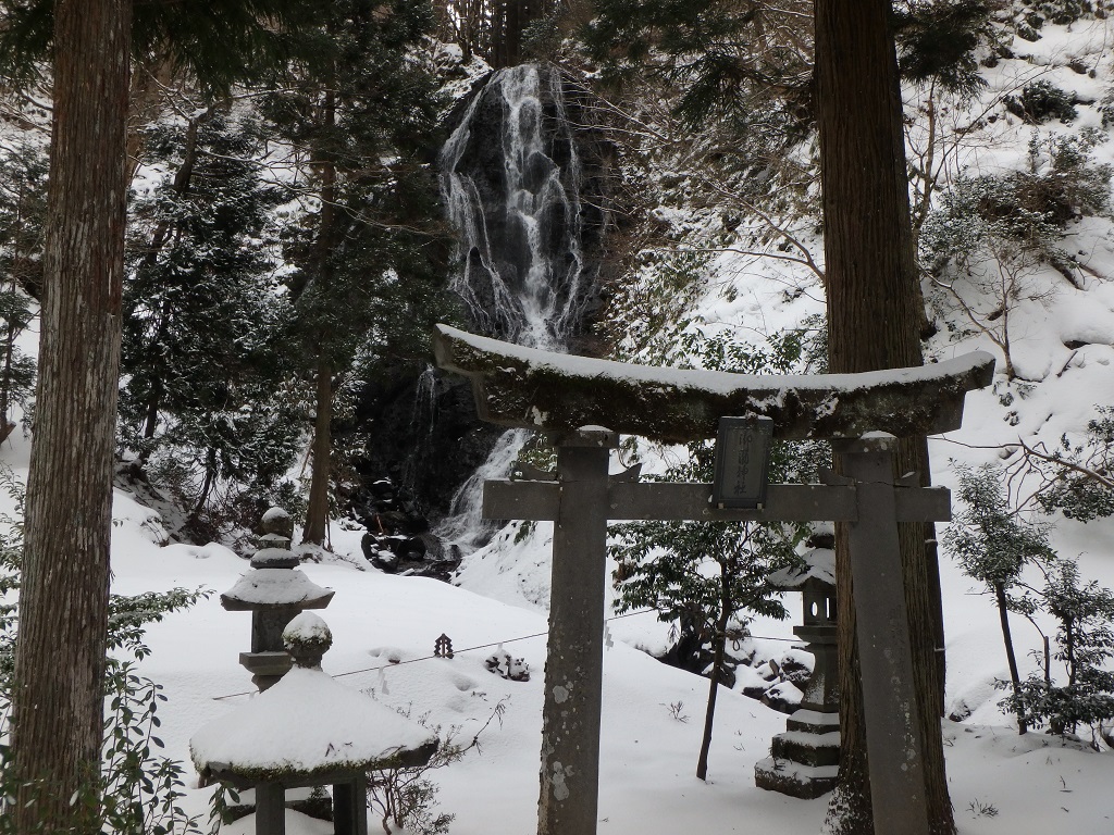 mokkedanosakata tweet picture