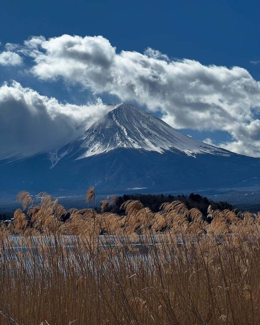 DJ Quietstorm tweet media