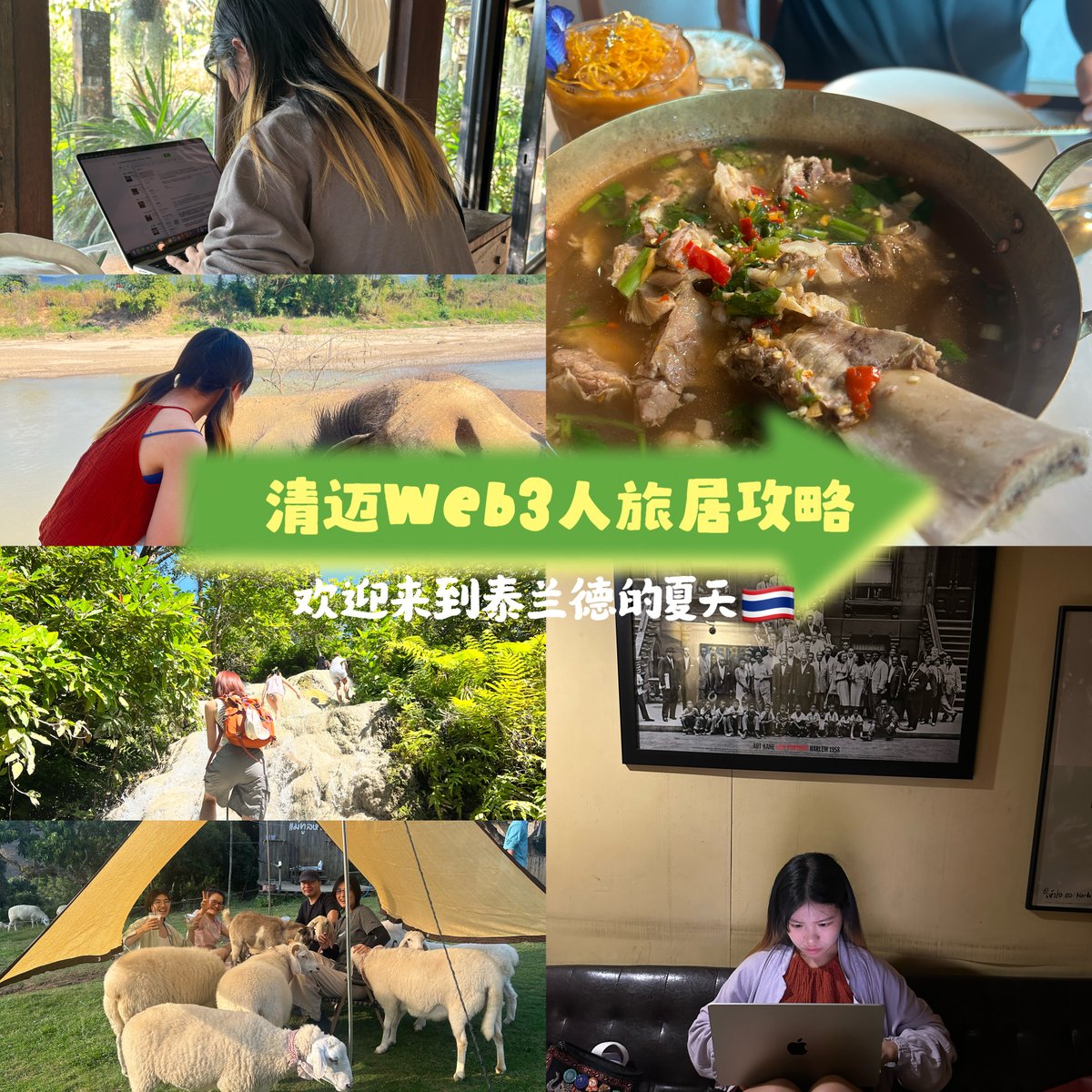 0xqiuqiuu's tweet photo. 清迈web3人超旅居全攻略！？

我很喜欢清迈，最主要的原因有各种好玩的户外哈哈。本篇给大家整理了web3数字游民在清迈的气候、住宿、交通、办公点、换汇以及活动推荐🧵👇