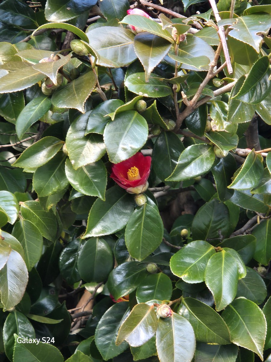 나야 나 tweet media