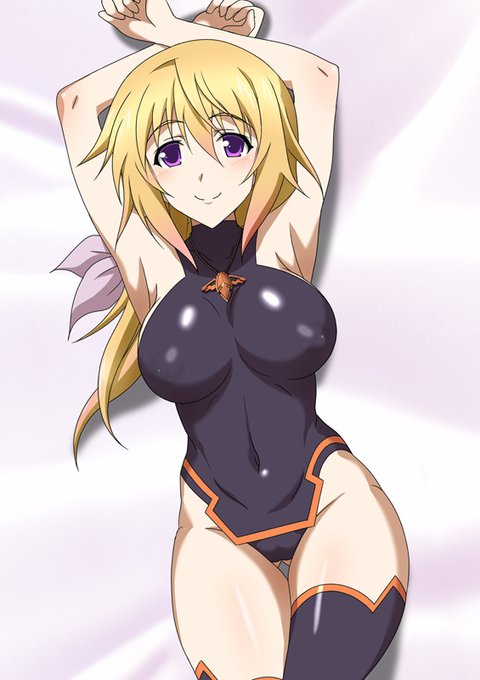 IS抱き枕シリーズ。現在メロンブックスで通販中です～ 