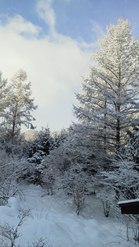 【飛騨高山yuicaの森】

二十四節気の「雨水」、春の訪れを感じる季節。
飛騨高山の雪景色にも、少しずつ春の気配が忍び寄っています❄️🌸

#yuica #アロマ #雪景色 #自然の力
#オークヴィレッジ #oakvillage