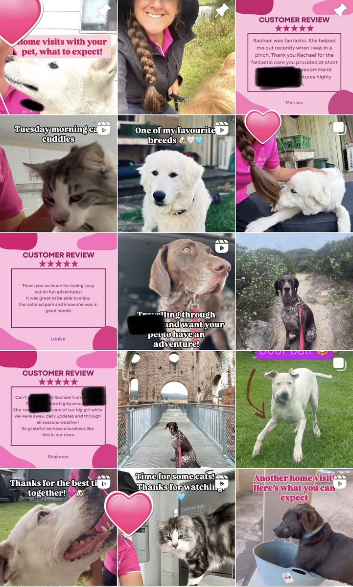 Rachael.Aus tweet media