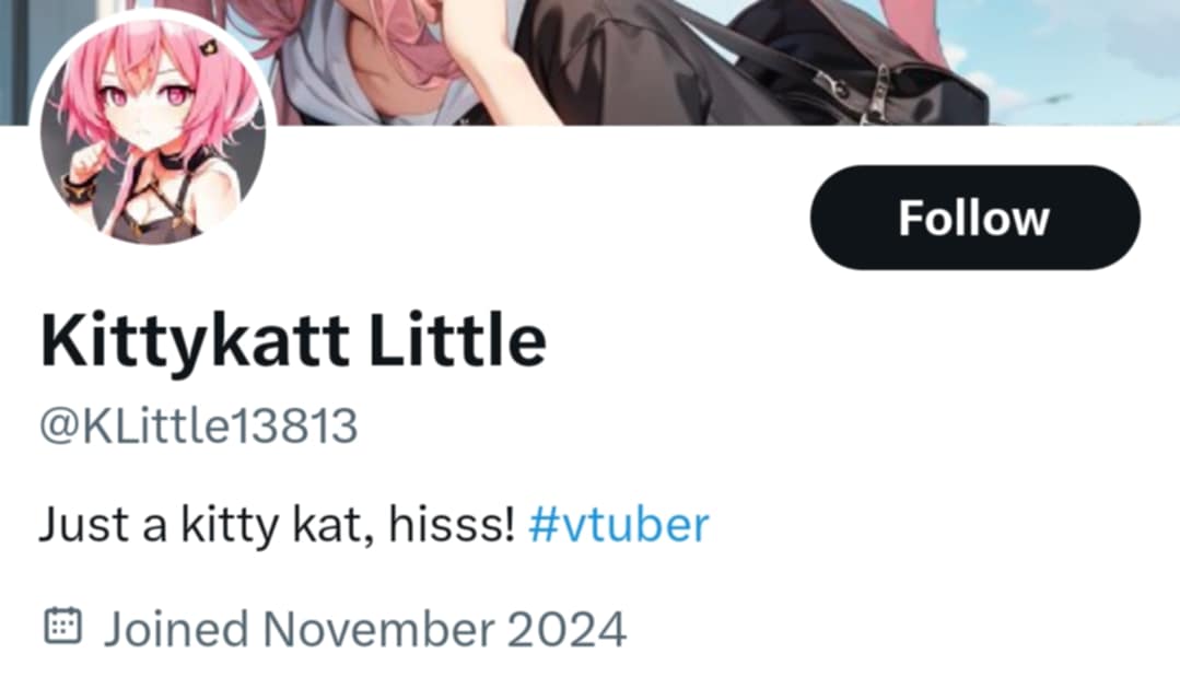 Emily IsVT tweet media