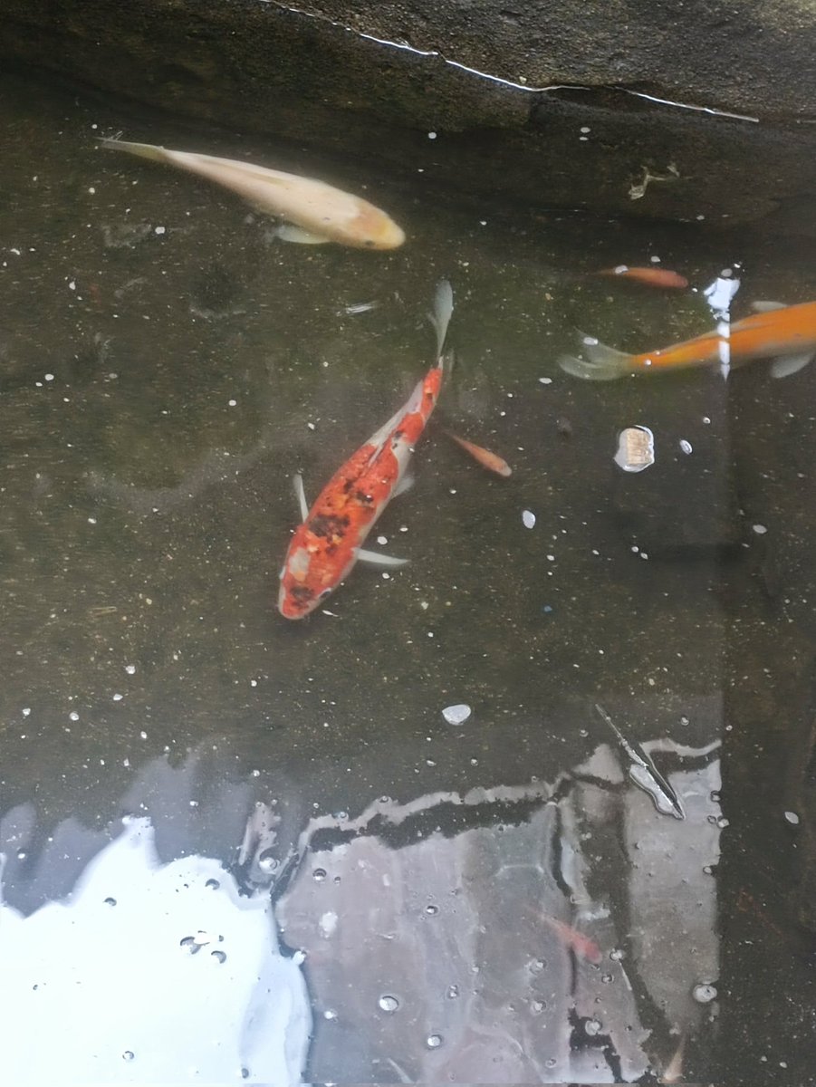 Kaiii (@adityakawai) on Twitter photo 