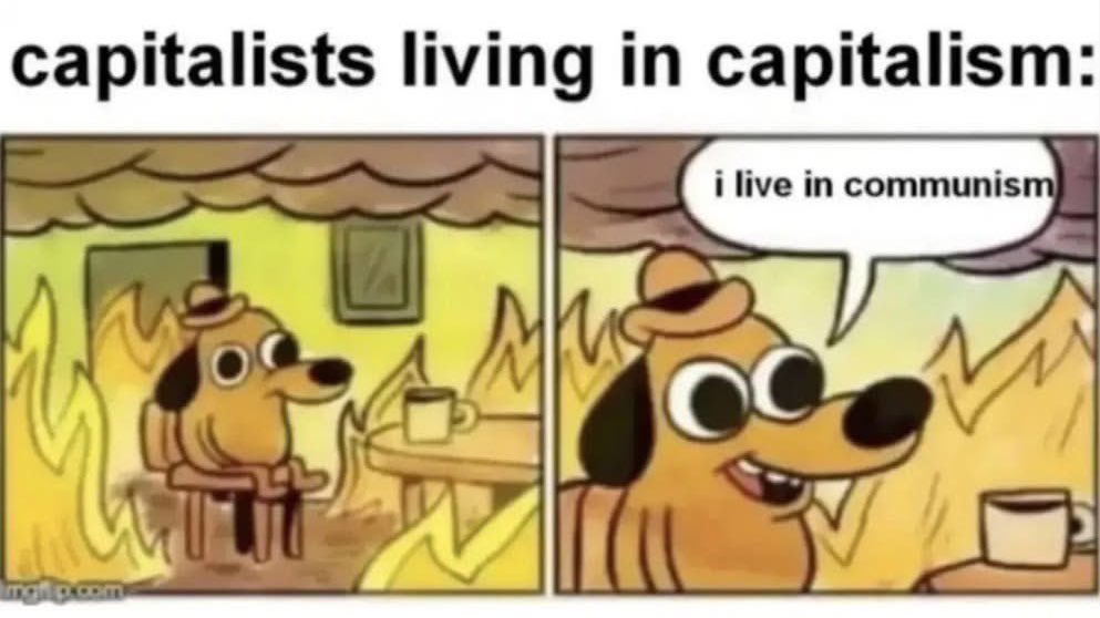 ProudSocialist's tweet image. 