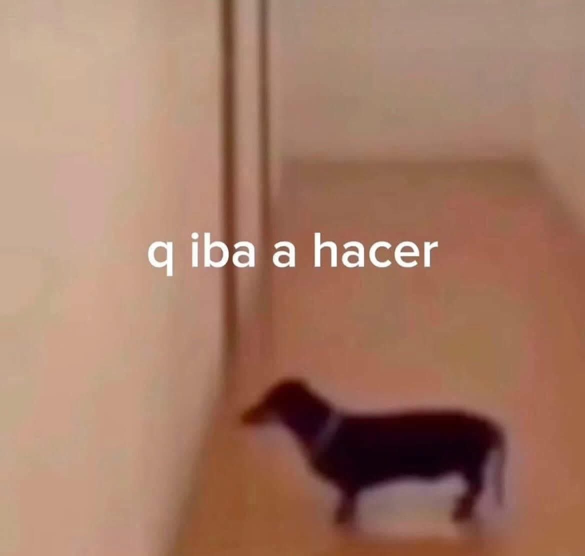Yo cada 20 min: