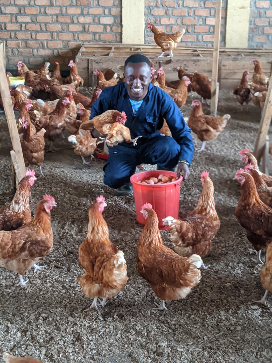 MichelDblessed's tweet photo. Youth are change makers in transforming the agricultural value chain by integrating #AgribusinessInnovations, digital technologies, and market-oriented strategies to enhance productivity, value addition, and economic sustainability.
#InvestInAgriculture 
#AgricultureIsLife https://t.co/ZFUkPfnpnz
