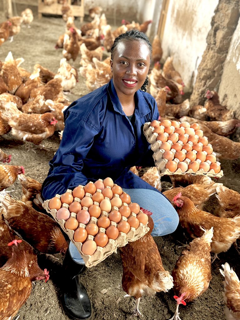 MichelDblessed's tweet photo. Youth are change makers in transforming the agricultural value chain by integrating #AgribusinessInnovations, digital technologies, and market-oriented strategies to enhance productivity, value addition, and economic sustainability.
#InvestInAgriculture 
#AgricultureIsLife https://t.co/ZFUkPfnpnz