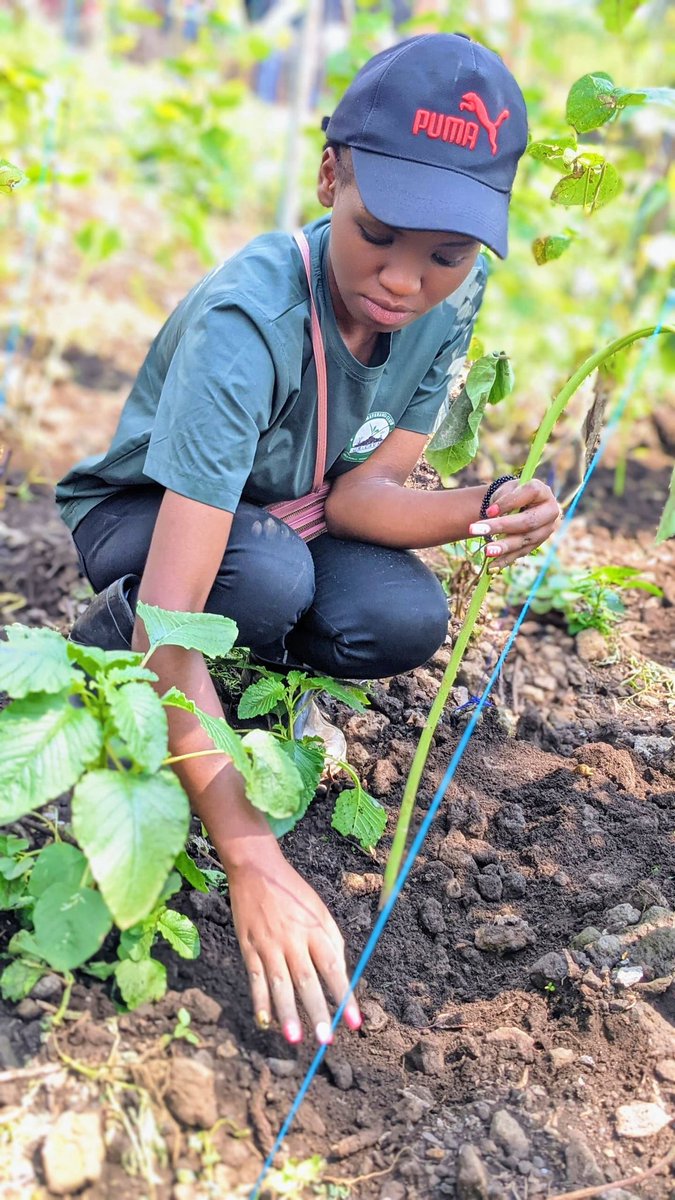 MichelDblessed's tweet photo. Youth are change makers in transforming the agricultural value chain by integrating #AgribusinessInnovations, digital technologies, and market-oriented strategies to enhance productivity, value addition, and economic sustainability.
#InvestInAgriculture 
#AgricultureIsLife https://t.co/ZFUkPfnpnz