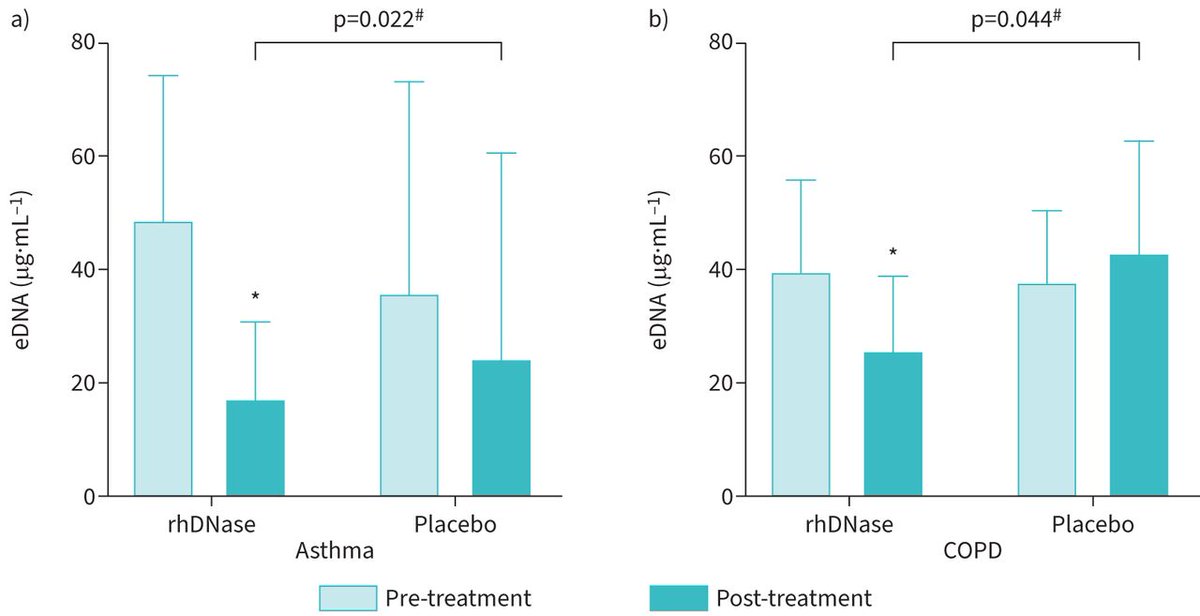 ERJ Open Research: Short-term recombinant human DNase treatment was able to reduce airway extracellular DNA levels in obstructive airway disease and may represent a novel treatment option for non-T2 related inflammation bit.ly/4fW3HAQ