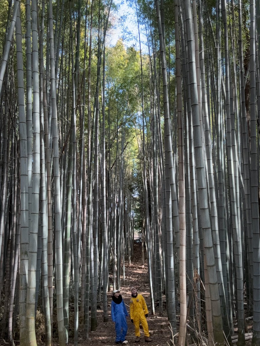 常震るな tweet media