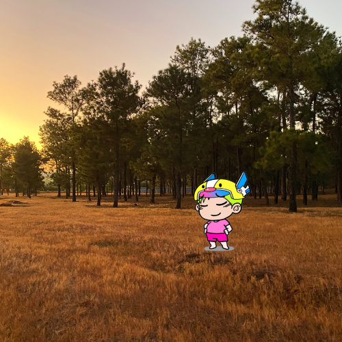 lildraxkonomi's tweet image. GM!
market going crazy, with a chill guy that not big problem for him because him always don&apos;t have any thing in pocket
@CaveDAO_org #bugpoly