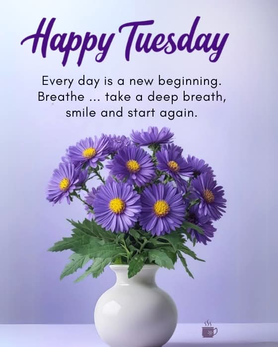 Happy Tuesday 🌽🍒🌽