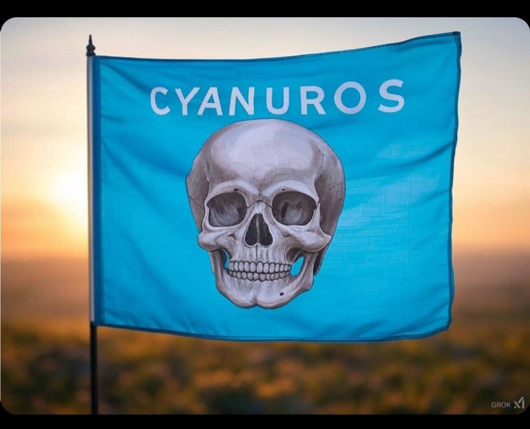 🌷 La 🌟Rakelita 🍃🍃 tweet media