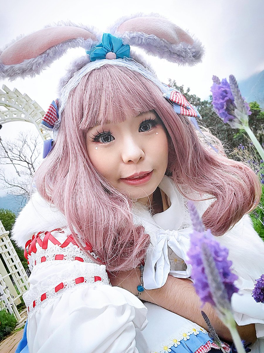 LinglingCosplay's tweet photo. 寒いですが、台湾の冬は🪻ラベンダーの季節です。そんな気候の中で花が咲いているのを見るのはとても嬉しいです😊😊❤️ https://t.co/E2rEkt1jgq