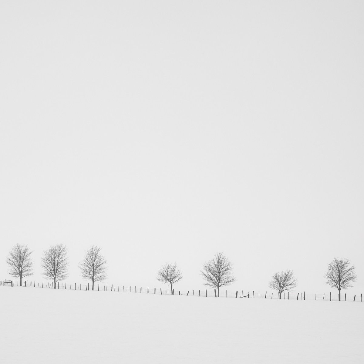 OiShot12's tweet photo. Seven Trees

@lawrencedgriffin

#photography #photographer #lawrencegriffin #landscape #minimalism #winter #Ontario #Canada #freelancer https://t.co/0Ih8WsZTUe