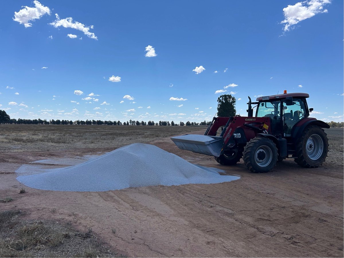 Rohan Brill tweet media