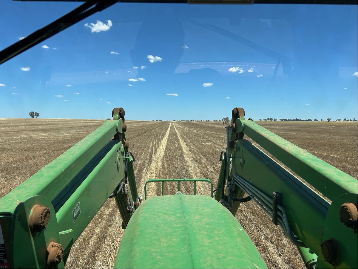 Rohan Brill tweet media