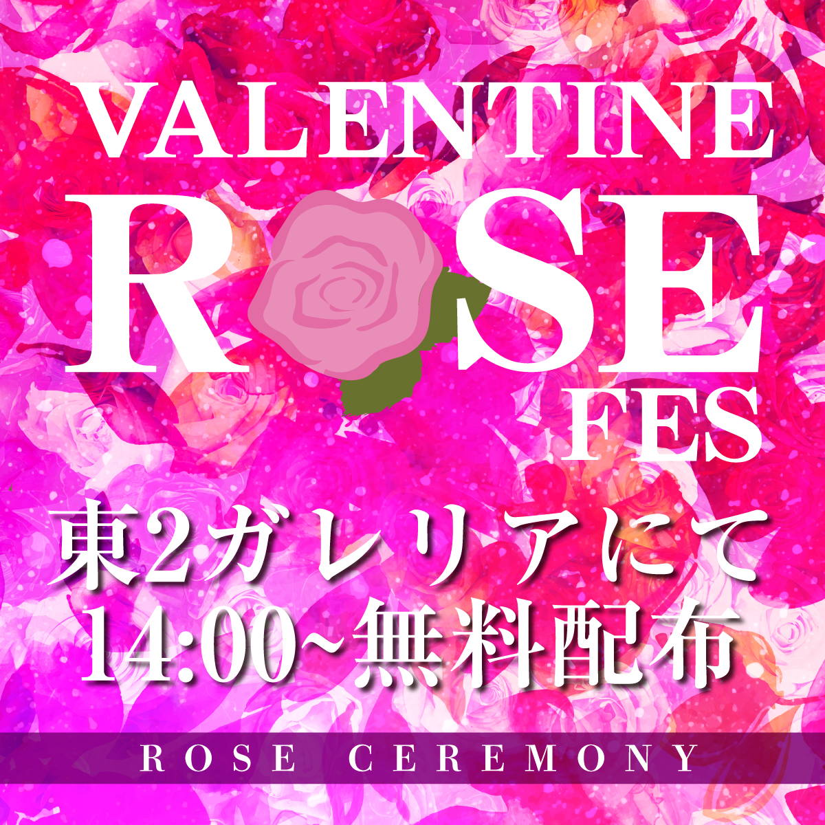 B6 ラブパラサイト バレンタインデー祝福 ピンクのクンペーン 恋愛成就 