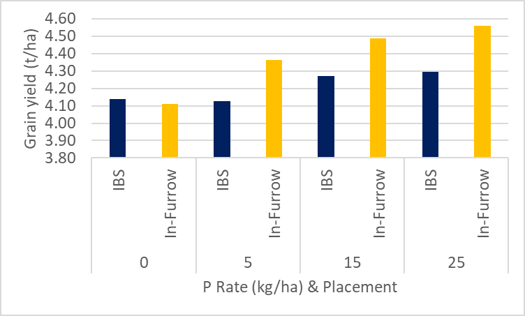 Rohan Brill tweet media