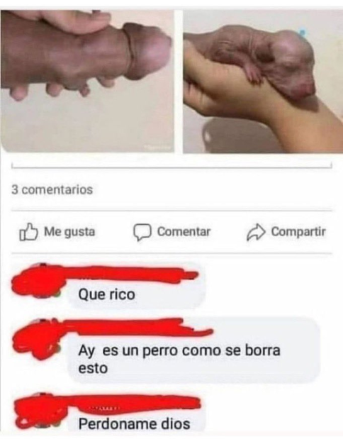 AlexanderFemboI's tweet photo. @RifuChill me voy a volver hetero viendo esto https://t.co/jZ7vMnevLM