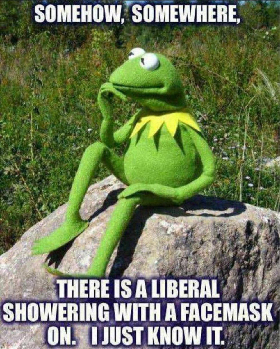 soursillypickle's tweet photo. @elonmusk Of course! 😆 https://t.co/oK60h2AURo