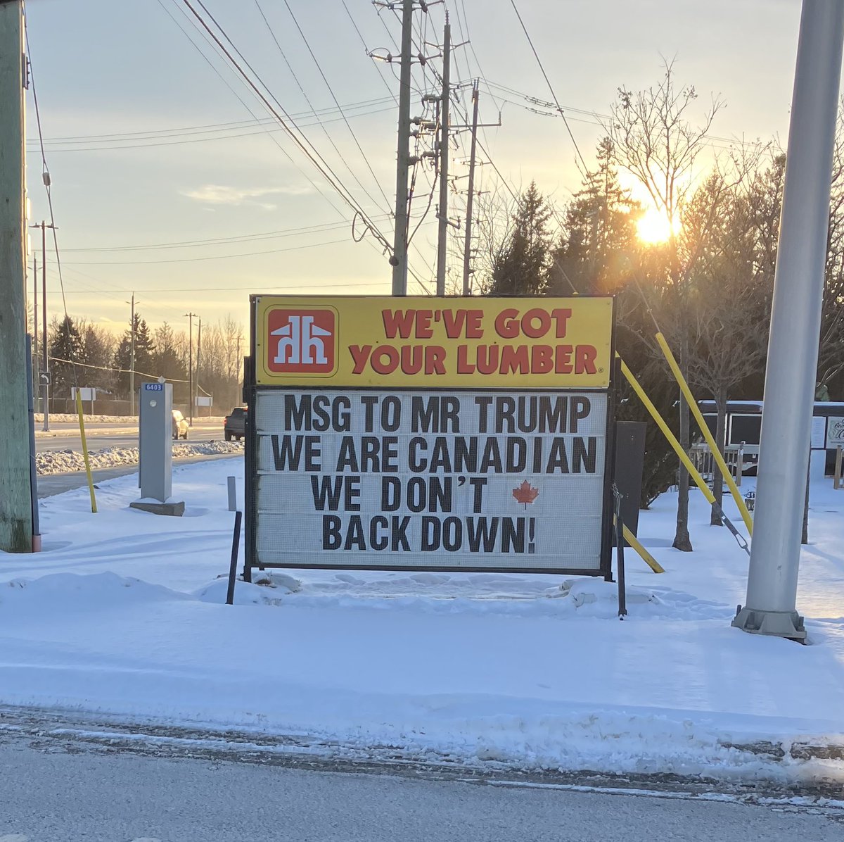 Human+Dog Mom, here for the humour 🇨🇦 tweet media