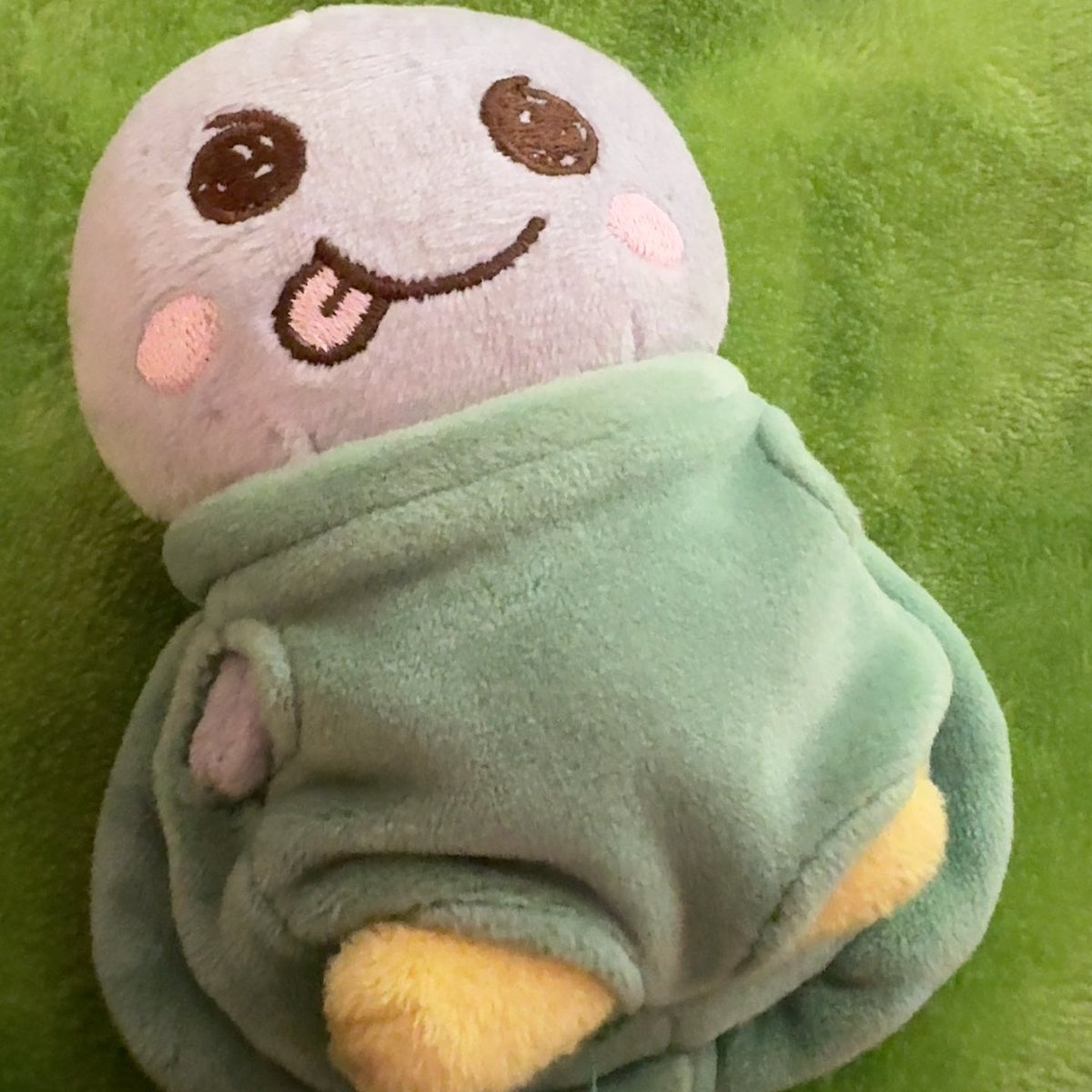 เพื่อน ๆ คิดว่าเต่าตุวนี้ หน้าตา แปก ๆ มั้ยคับ 🐢🪸🫧