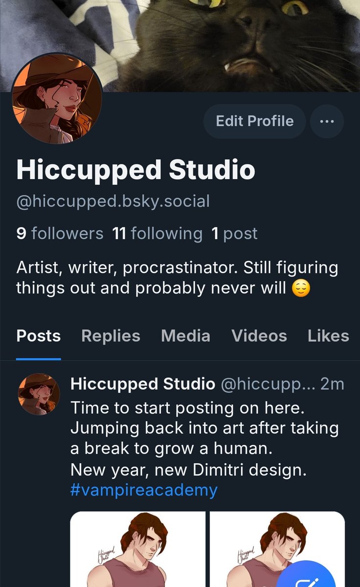 HiccuppedStudio tweet media