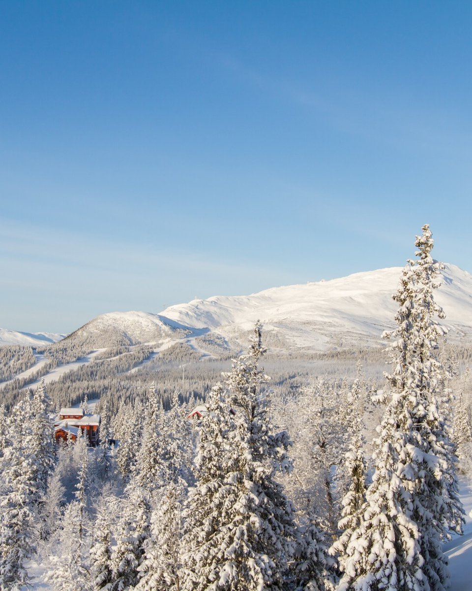 WorldTravelMagazine tweet media