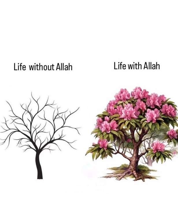 MuslimsMatterss's tweet photo. Do you agree? https://t.co/YEu0qBZOYe