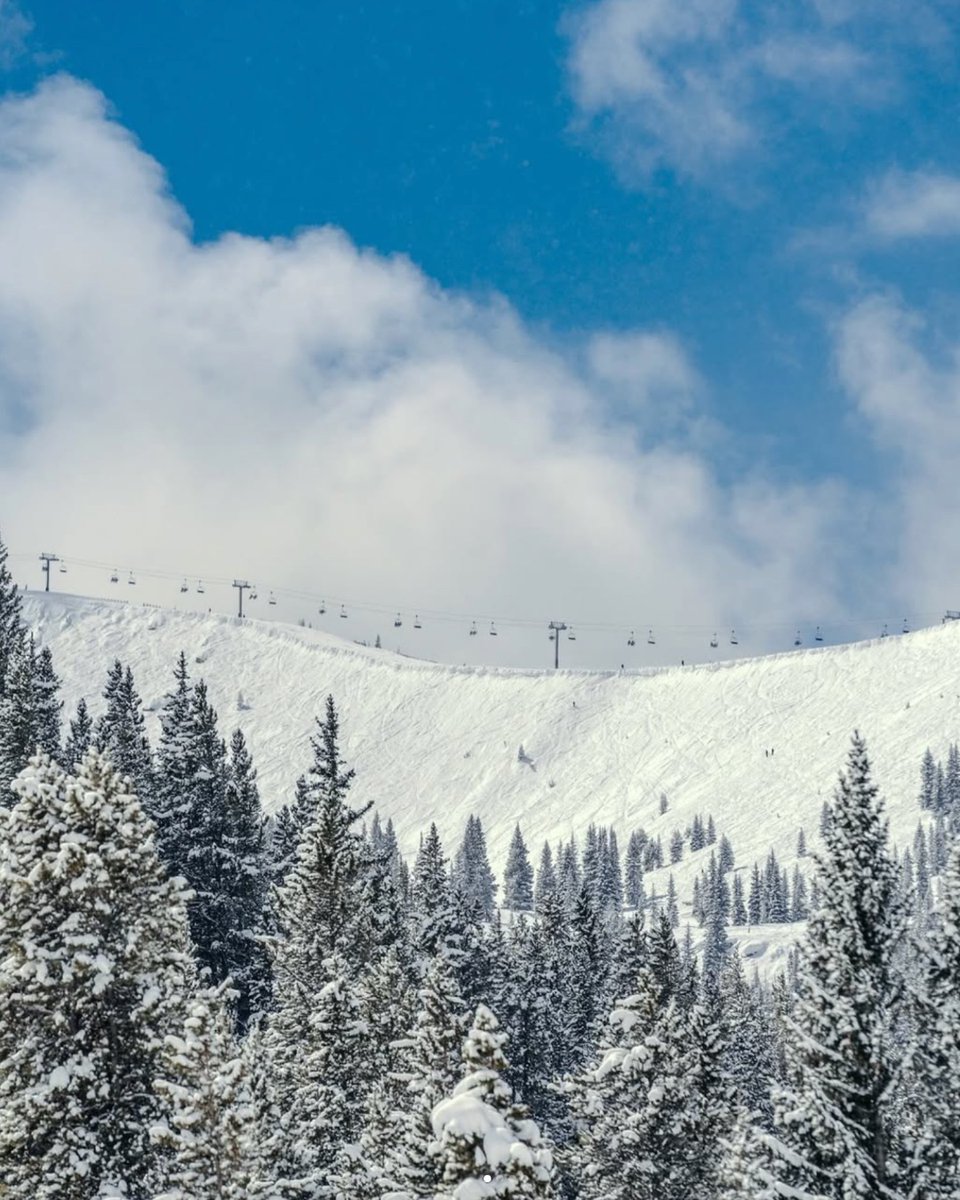 Four Seasons Vail tweet media