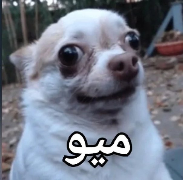 مــرمـ tweet media