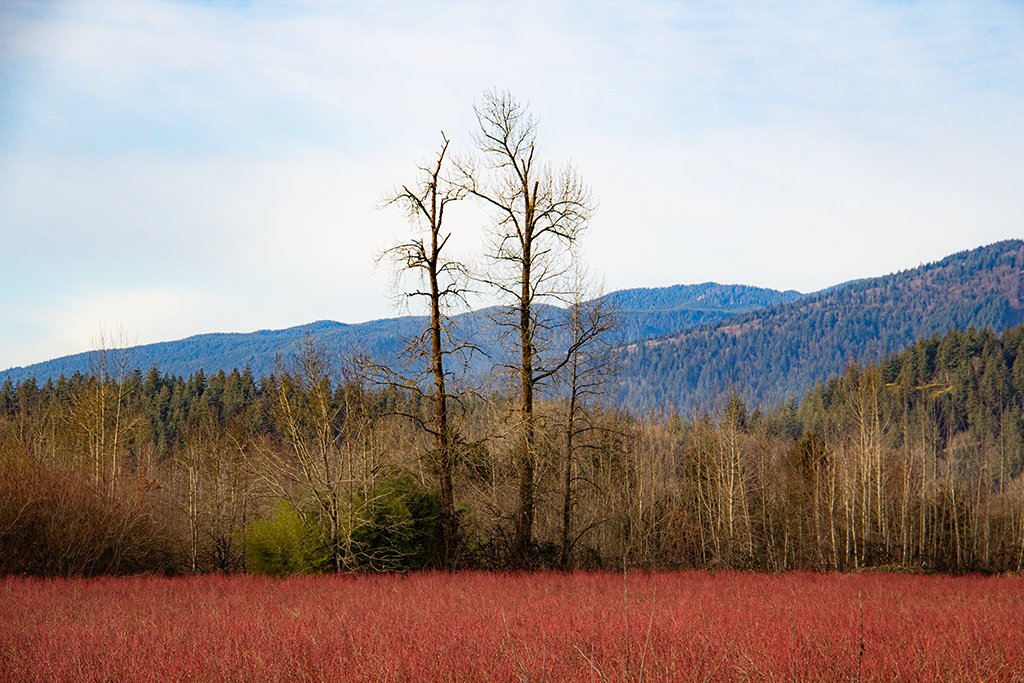 What If This Is It? open.substack.com/pub/rodjanz1/p…