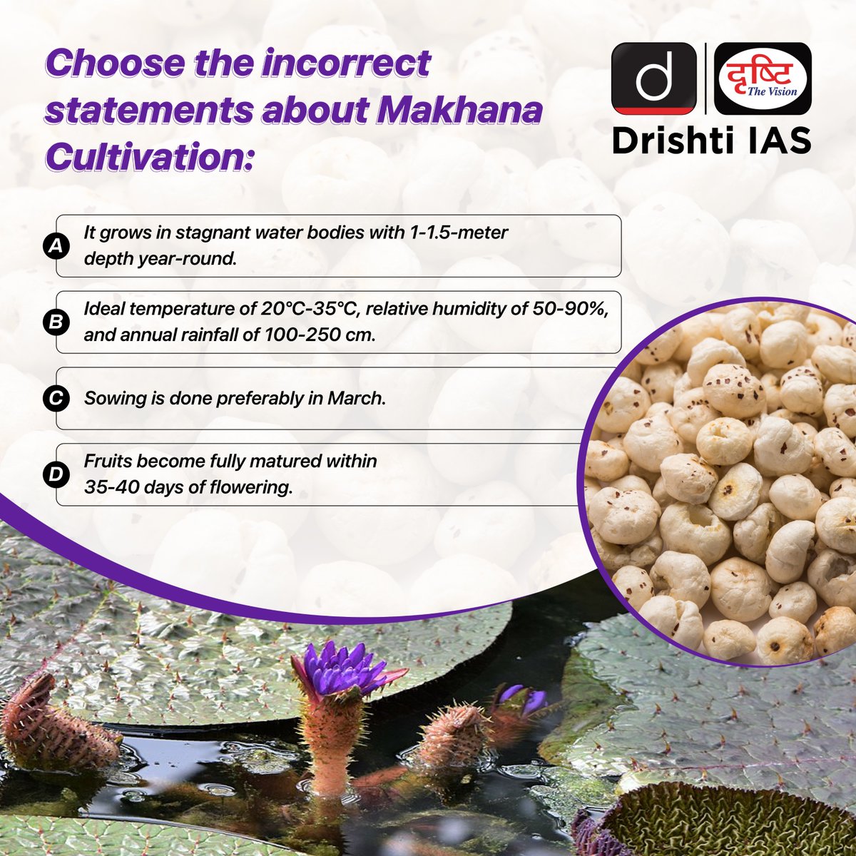 drishtiiaseng's tweet image. Share your answer to the #DrishtiDailyQuiz in the comment section.

#Makhana #FoxNuts #Aquaculture #SustainableAgriculture #OrganicFarming #Health #Superfood #Nutrition #Health #Food #Agriculture #Farming #India #UPSC #IAS #DrishtiIAS #DrishtiIASEnglish
