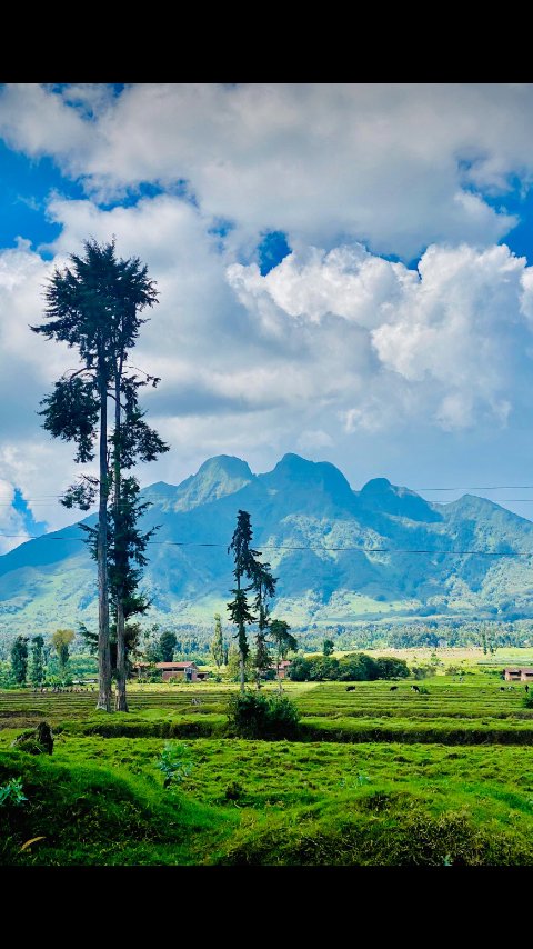 IRADUKUNDA59643's tweet photo. Do you know that #Volcanoe? https://t.co/Lu3B0v1ESn