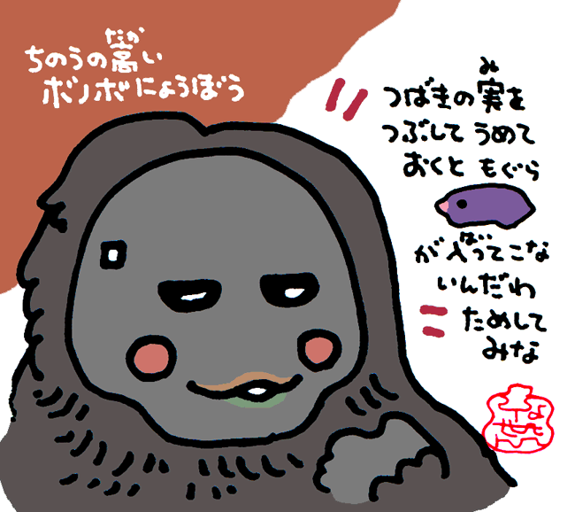 知能の高いボノボ女房 