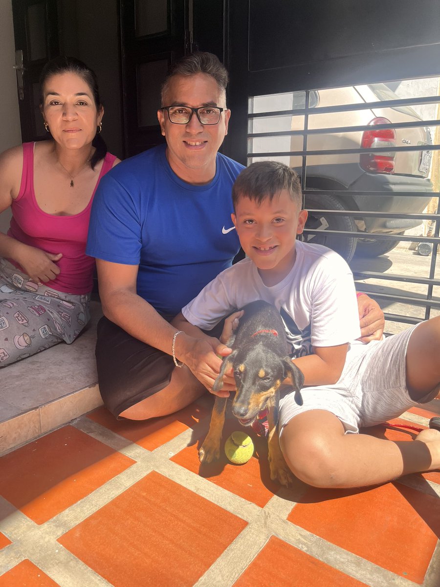 @fevranimal tweet media