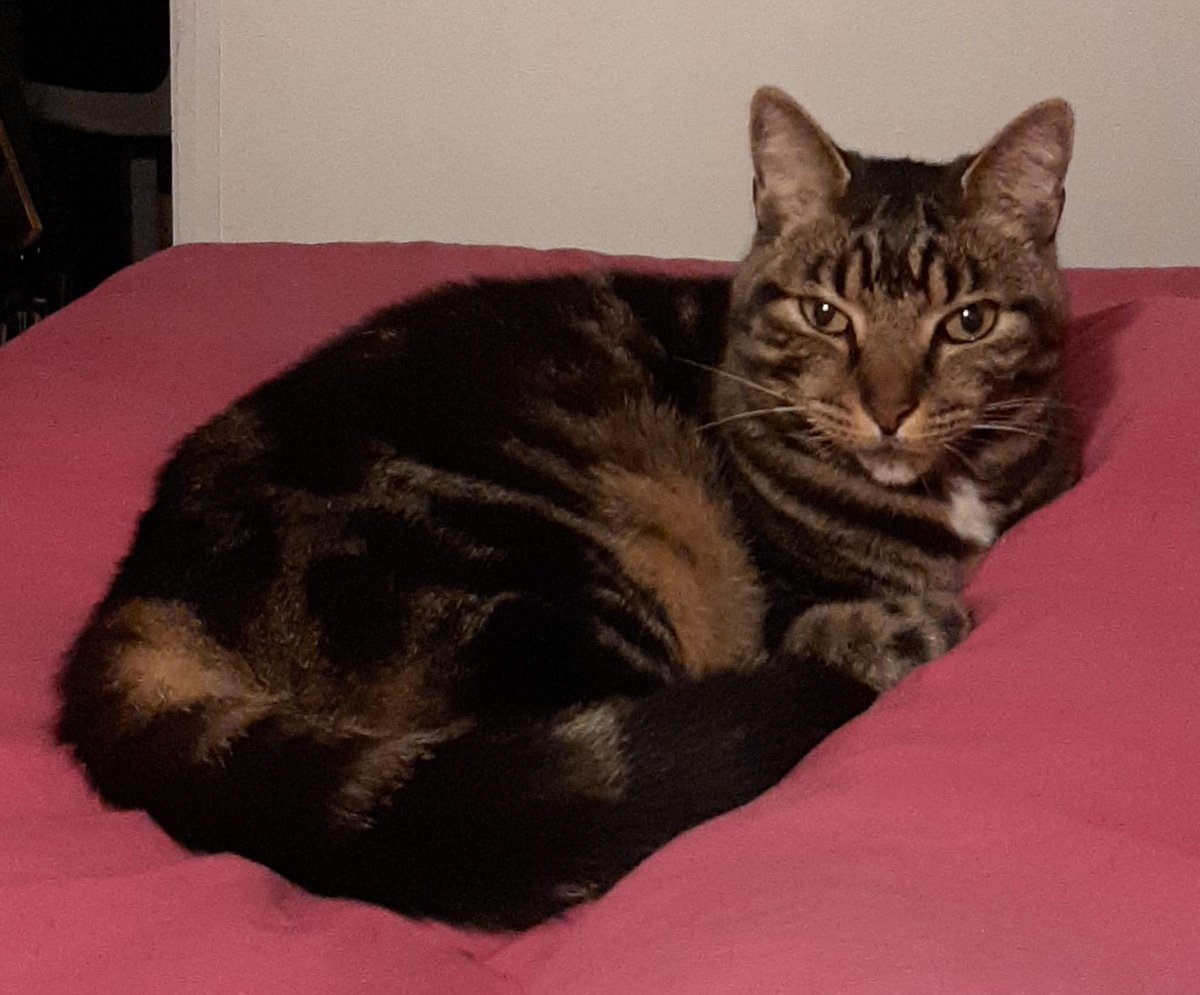 Franco57124579's tweet image. 🗼TAKI : Place d'Italie, manif Février 2023
Fin de cortège #NonALaReformeDesRetraites