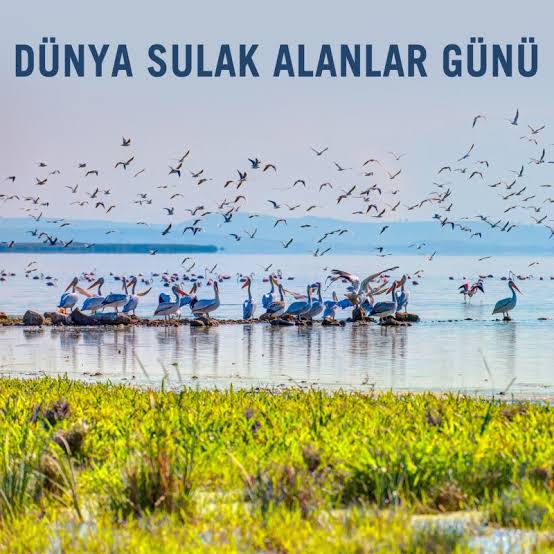 Prof. Dr. Ugur Sunlu (@ugursunlu) on Twitter photo 