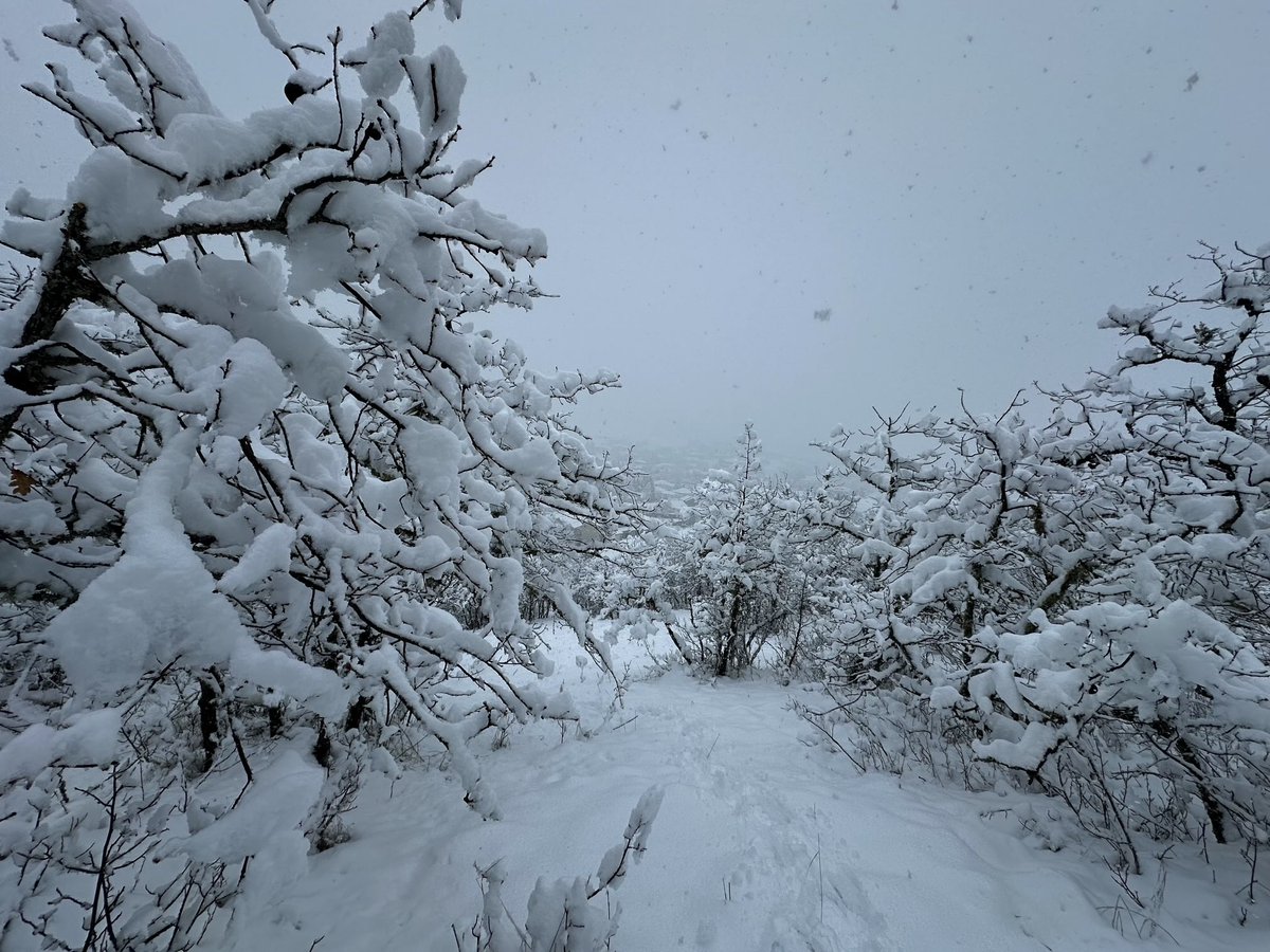 Christine Riley tweet media