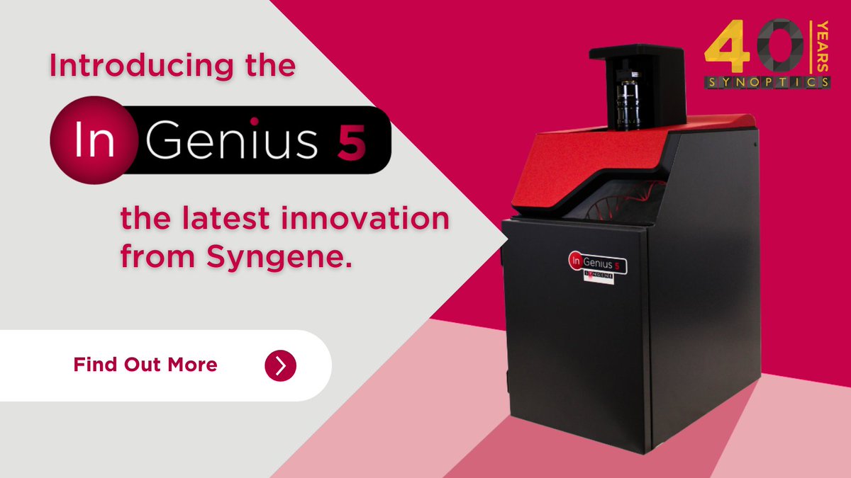 Synoptics tweet media