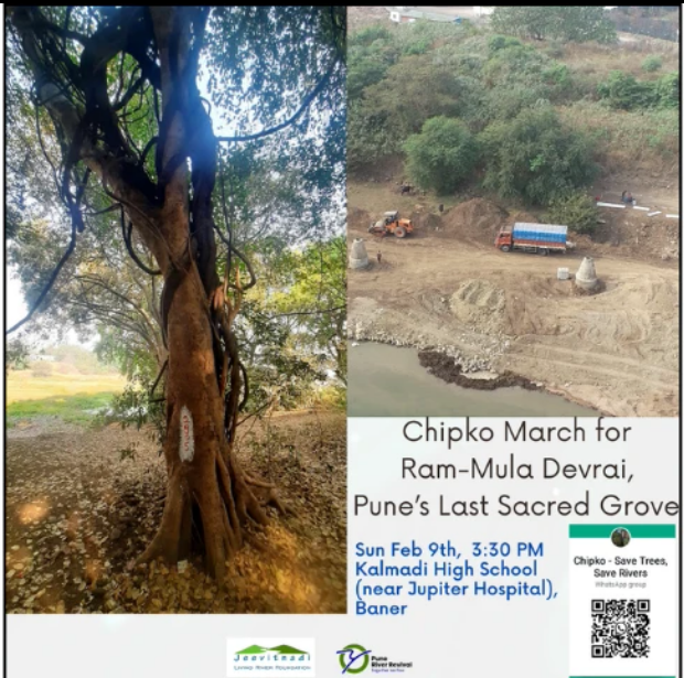 Pune River Revival tweet media